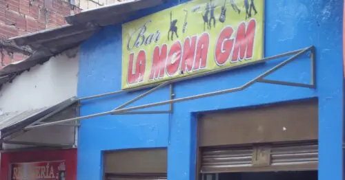 BAR LA MONA GM BAR LA MONA GM
